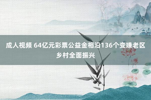 成人视频 64亿元彩票公益金相沿136个变嫌老区乡村全面振兴