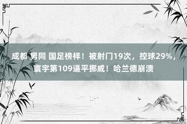 成都 男同 国足榜样！被射门19次，控球29%，寰宇第109逼平挪威！哈兰德崩溃