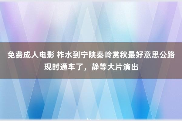 免费成人电影 柞水到宁陕秦岭赏秋最好意思公路现时通车了，静等大片演出