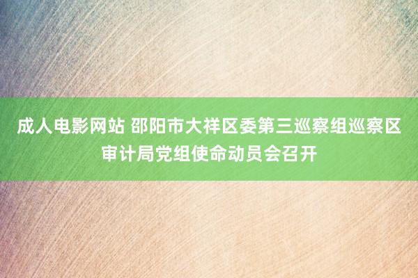 成人电影网站 邵阳市大祥区委第三巡察组巡察区审计局党组使命动员会召开