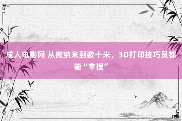 成人电影网 从微纳米到数十米，3D打印技巧员都能“拿捏”