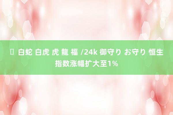 ✨白蛇 白虎 虎 龍 福 /24k 御守り お守り 恒生指数涨幅扩大至1%