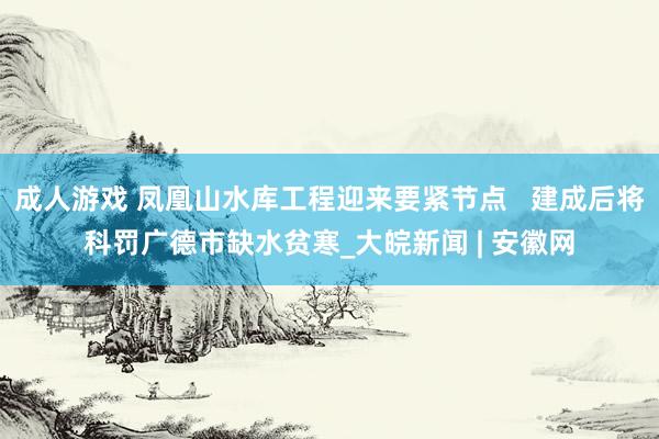 成人游戏 凤凰山水库工程迎来要紧节点   建成后将科罚广德市缺水贫寒_大皖新闻 | 安徽网