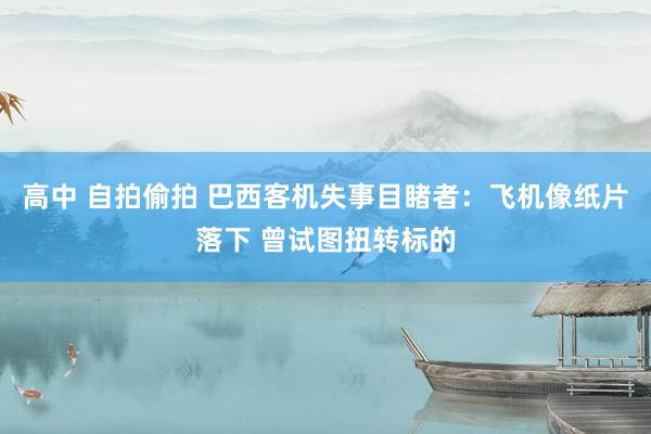 高中 自拍偷拍 巴西客机失事目睹者：飞机像纸片落下 曾试图扭转标的