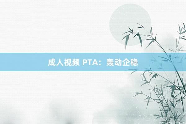 成人视频 PTA：轰动企稳