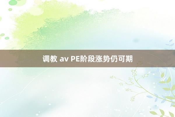 调教 av PE阶段涨势仍可期