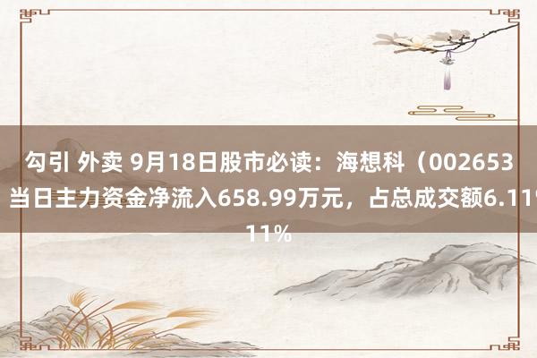 勾引 外卖 9月18日股市必读：海想科（002653）当日主力资金净流入658.99万元，占总成交额6.11%