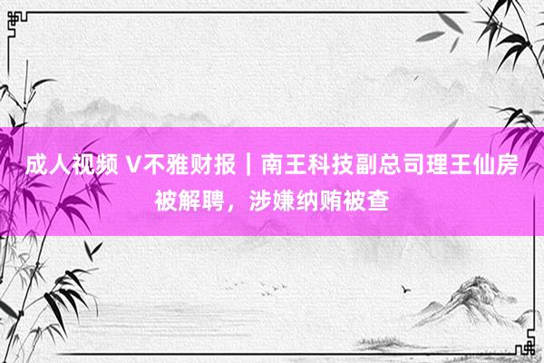 成人视频 V不雅财报｜南王科技副总司理王仙房被解聘，涉嫌纳贿被查