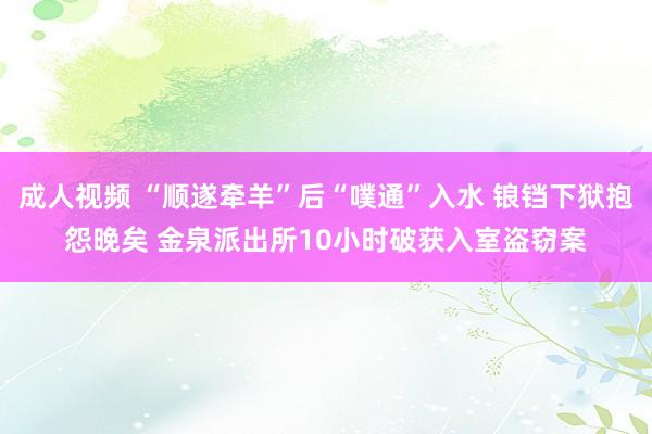 成人视频 “顺遂牵羊”后“噗通”入水 锒铛下狱抱怨晚矣 金泉派出所10小时破获入室盗窃案