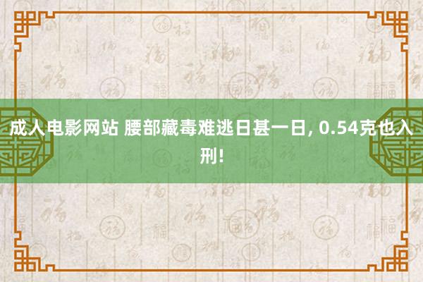 成人电影网站 腰部藏毒难逃日甚一日， 0.54克也入刑!