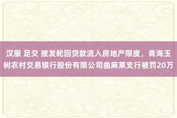 汉服 足交 披发轮回贷款流入房地产限度，青海玉树农村交易银行股份有限公司曲麻莱支行被罚20万