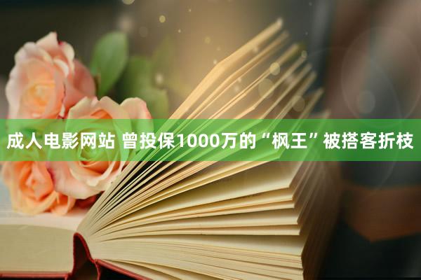 成人电影网站 曾投保1000万的“枫王”被搭客折枝