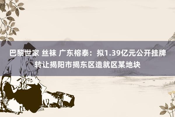 巴黎世家 丝袜 广东榕泰：拟1.39亿元公开挂牌转让揭阳市揭东区造就区某地块