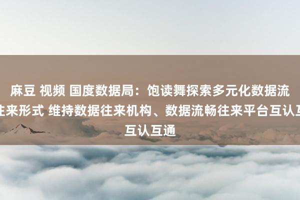 麻豆 视频 国度数据局：饱读舞探索多元化数据流畅往来形式 维持数据往来机构、数据流畅往来平台互认互通