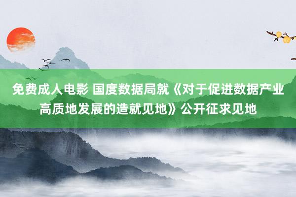 免费成人电影 国度数据局就《对于促进数据产业高质地发展的造就见地》公开征求见地