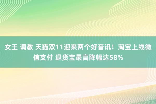 女王 调教 天猫双11迎来两个好音讯！淘宝上线微信支付 退货宝最高降幅达58%