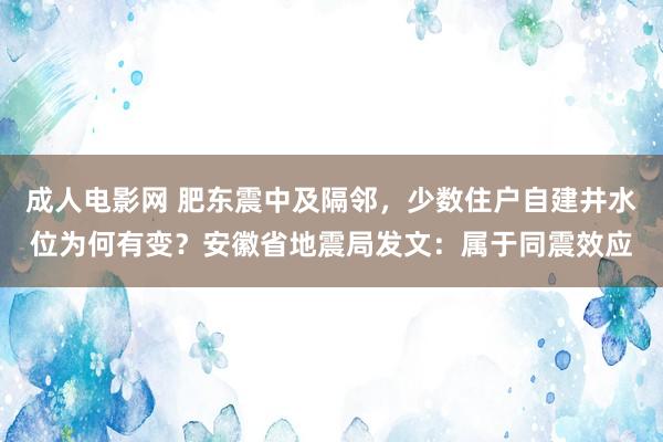 成人电影网 肥东震中及隔邻，少数住户自建井水位为何有变？安徽省地震局发文：属于同震效应