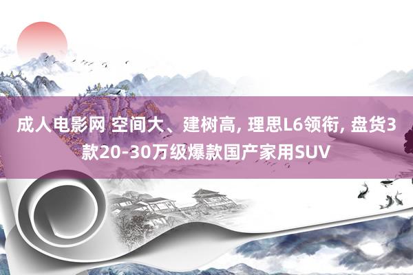 成人电影网 空间大、建树高， 理思L6领衔， 盘货3款20-30万级爆款国产家用SUV