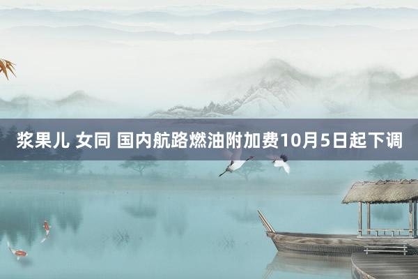 浆果儿 女同 国内航路燃油附加费10月5日起下调