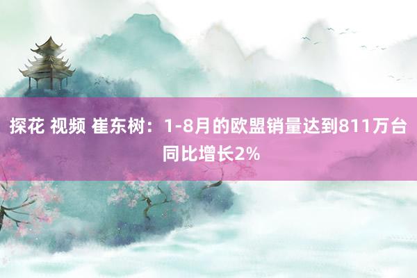 探花 视频 崔东树：1-8月的欧盟销量达到811万台 同比增长2%