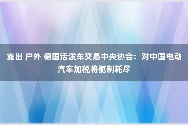 露出 户外 德国活泼车交易中央协会：对中国电动汽车加税将扼制耗尽