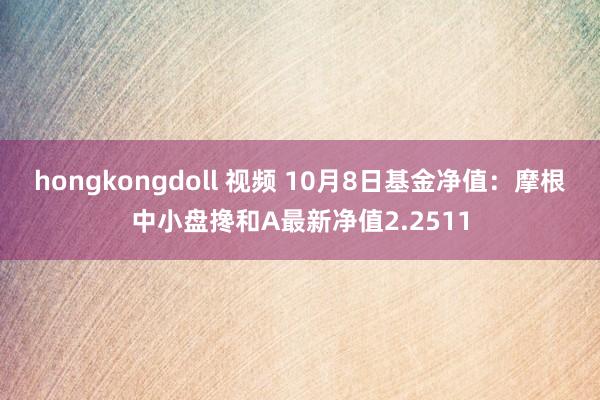 hongkongdoll 视频 10月8日基金净值：摩根中小盘搀和A最新净值2.2511