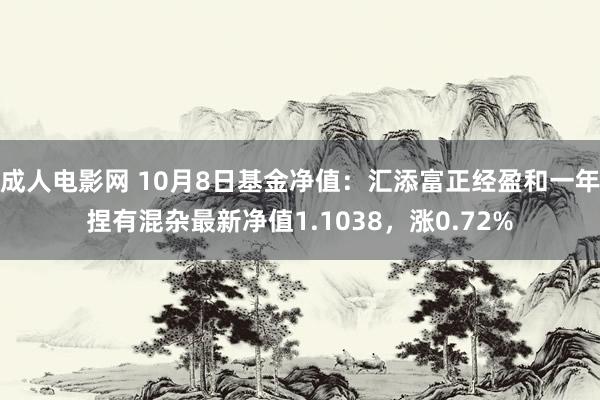 成人电影网 10月8日基金净值：汇添富正经盈和一年捏有混杂最新净值1.1038，涨0.72%