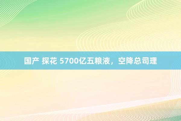 国产 探花 5700亿五粮液，空降总司理