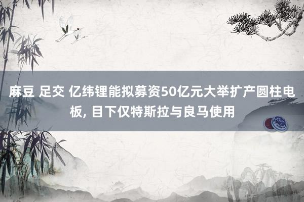 麻豆 足交 亿纬锂能拟募资50亿元大举扩产圆柱电板， 目下仅特斯拉与良马使用