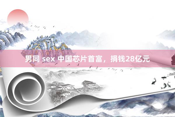 男同 sex 中国芯片首富，捐钱28亿元