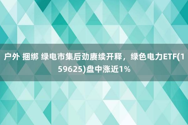 户外 捆绑 绿电市集后劲赓续开释，绿色电力ETF(159625)盘中涨近1%