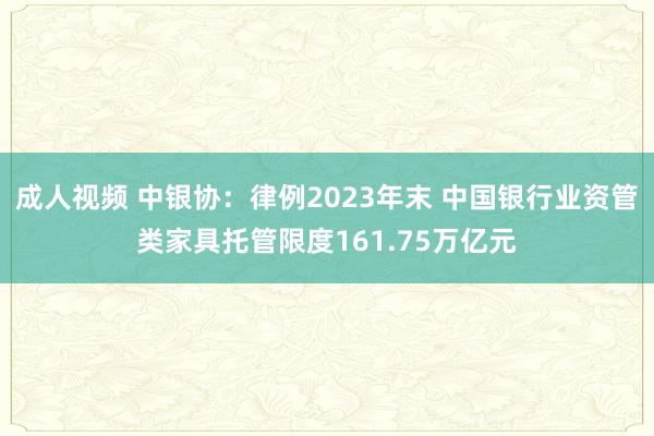 成人视频 中银协：律例2023年末 中国银行业资管类家具托管限度161.75万亿元