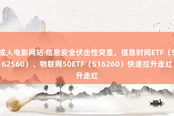 成人电影网站 信息安全伏击性突显，信息时间ETF（562560）、物联网50ETF（516260）快速拉升走红