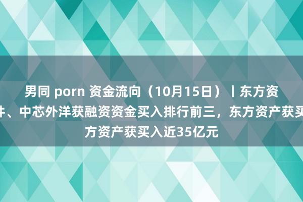 男同 porn 资金流向（10月15日）丨东方资产、润和软件、中芯外洋获融资资金买入排行前三，东方资产获买入近35亿元