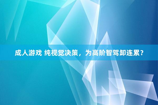 成人游戏 纯视觉决策，为高阶智驾卸连累？