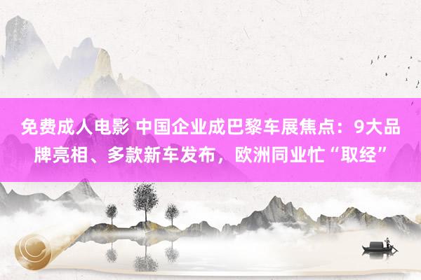 免费成人电影 中国企业成巴黎车展焦点：9大品牌亮相、多款新车发布，欧洲同业忙“取经”