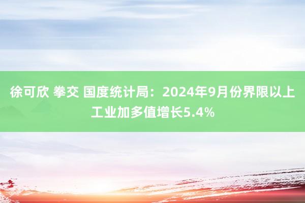 徐可欣 拳交 国度统计局：2024年9月份界限以上工业加多值增长5.4%