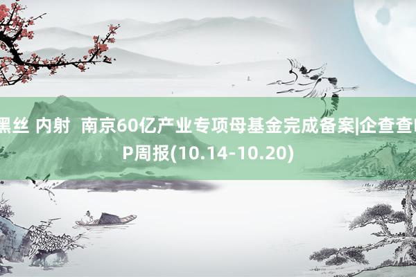 黑丝 内射  南京60亿产业专项母基金完成备案|企查查LP周报(10.14-10.20)