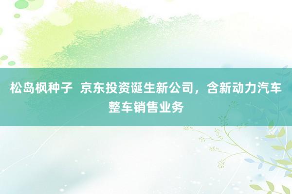 松岛枫种子  京东投资诞生新公司，含新动力汽车整车销售业务