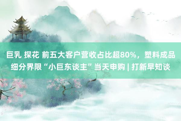 巨乳 探花 前五大客户营收占比超80%，塑料成品细分界限“小巨东谈主”当天申购 | 打新早知谈