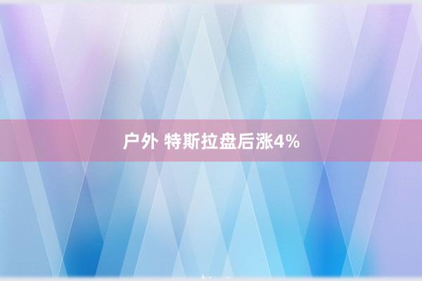 户外 特斯拉盘后涨4%