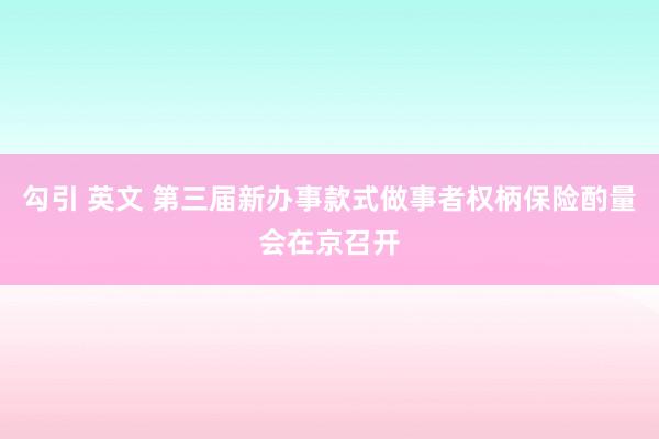 勾引 英文 第三届新办事款式做事者权柄保险酌量会在京召开