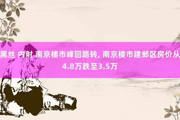 黑丝 内射 南京楼市峰回路转， 南京楼市建邺区房价从4.8万跌至3.5万