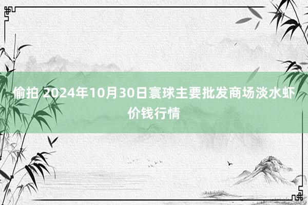 偷拍 2024年10月30日寰球主要批发商场淡水虾价钱行情