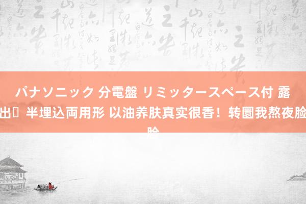 パナソニック 分電盤 リミッタースペース付 露出・半埋込両用形 以油养肤真实很香！转圜我熬夜脸