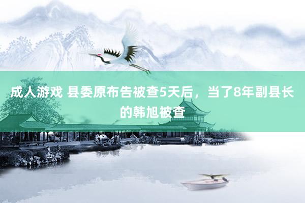 成人游戏 县委原布告被查5天后，当了8年副县长的韩旭被查