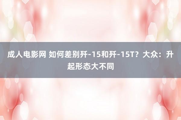 成人电影网 如何差别歼-15和歼-15T？大众：升起形态大不同