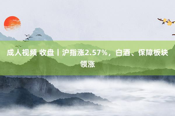 成人视频 收盘丨沪指涨2.57%，白酒、保障板块领涨