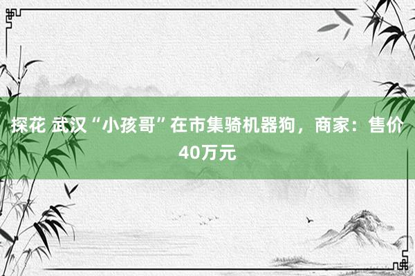 探花 武汉“小孩哥”在市集骑机器狗，商家：售价40万元