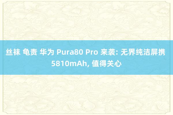 丝袜 龟责 华为 Pura80 Pro 来袭: 无界纯洁屏携 5810mAh， 值得关心